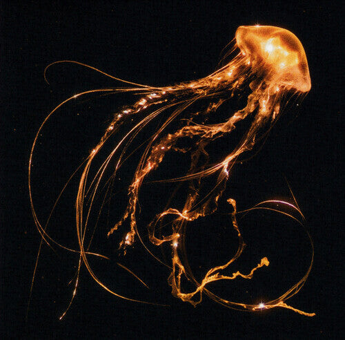

CD диск Royal Blood: Back To The Water Below