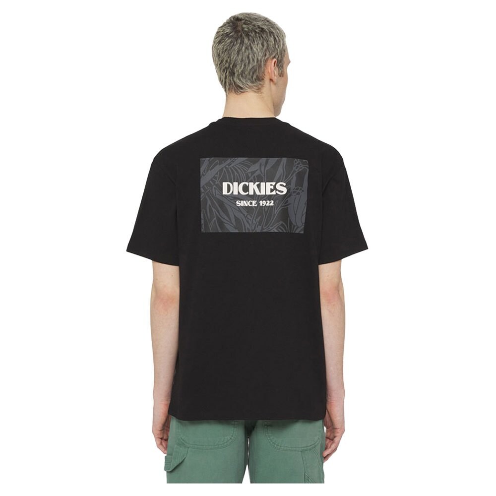 

Футболка с коротким рукавом Dickies Max Meadows, черный
