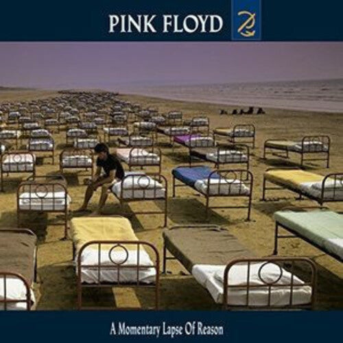 

CD диск Pink Floyd: A Momentary Lapse Of Reason