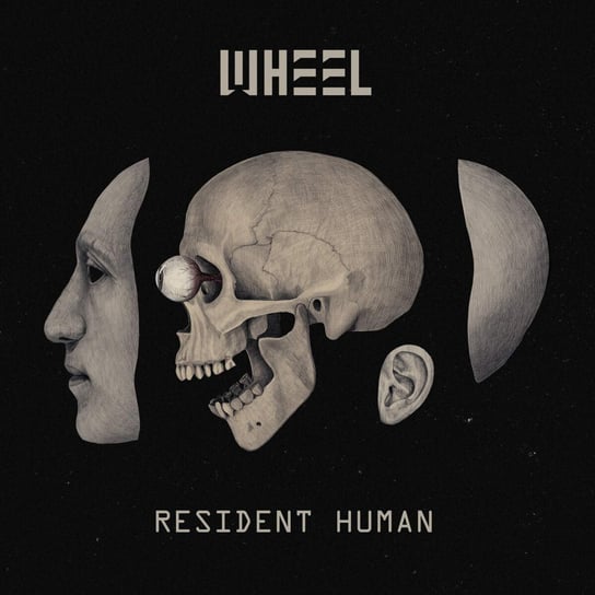 Виниловая пластинка Wheel - Resident Human