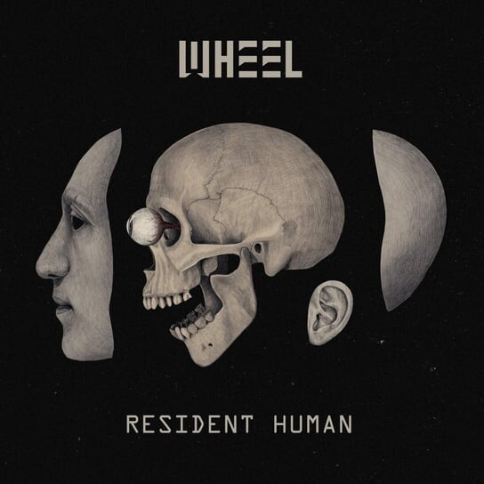 

Виниловая пластинка Wheel - Resident Human