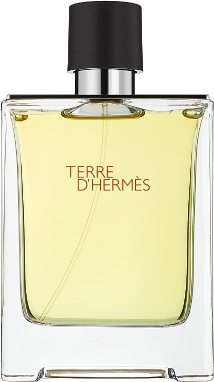 Туалетная вода Hermes Terre D'Hermes парфюмерная вода hermes terre d’hermes eau givree refillable 100 мл