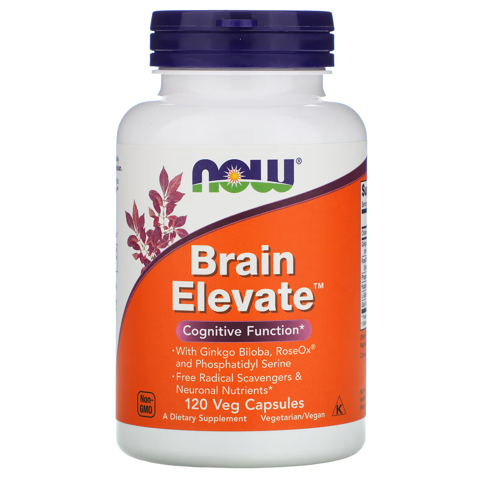 NOW Foods, Brain Elevate, поддержка здоровья мозга, 120 вегетарианских капсул now foods brain elevate 60 растительных капсул