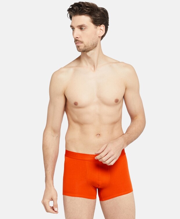 

Шорты-боксеры, 2 шт. Calvin Klein, цвет Pumpkin Orange