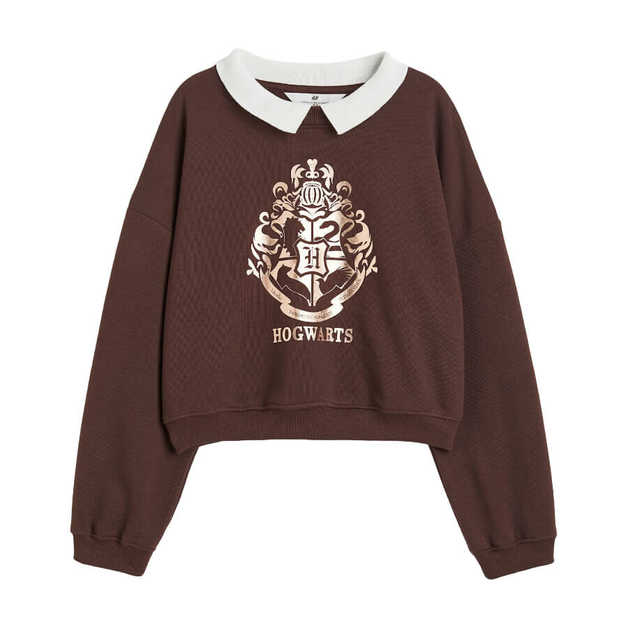 

Свитшот H&M Harry Potter Boxy Printed, темно-коричневый