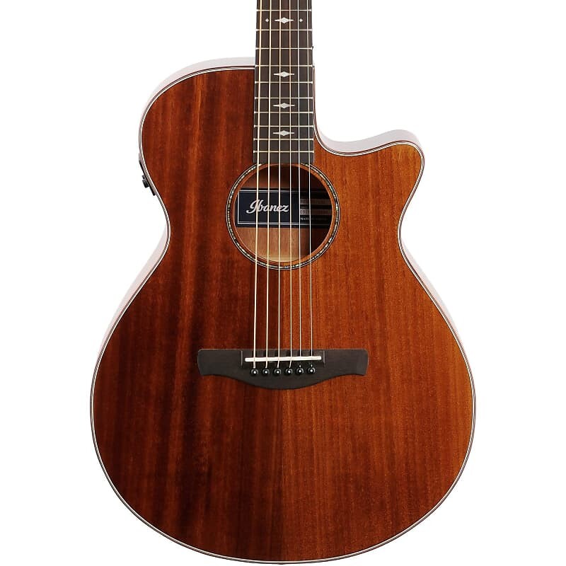 

Электроакустическая гитара Ibanez AEG220, натуральный глянец AEG220LGS
