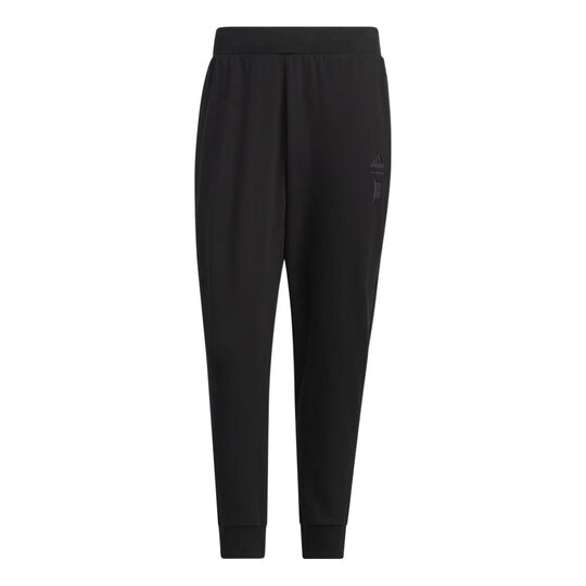 

Спортивные брюки Adidas Pants IA8104, черный