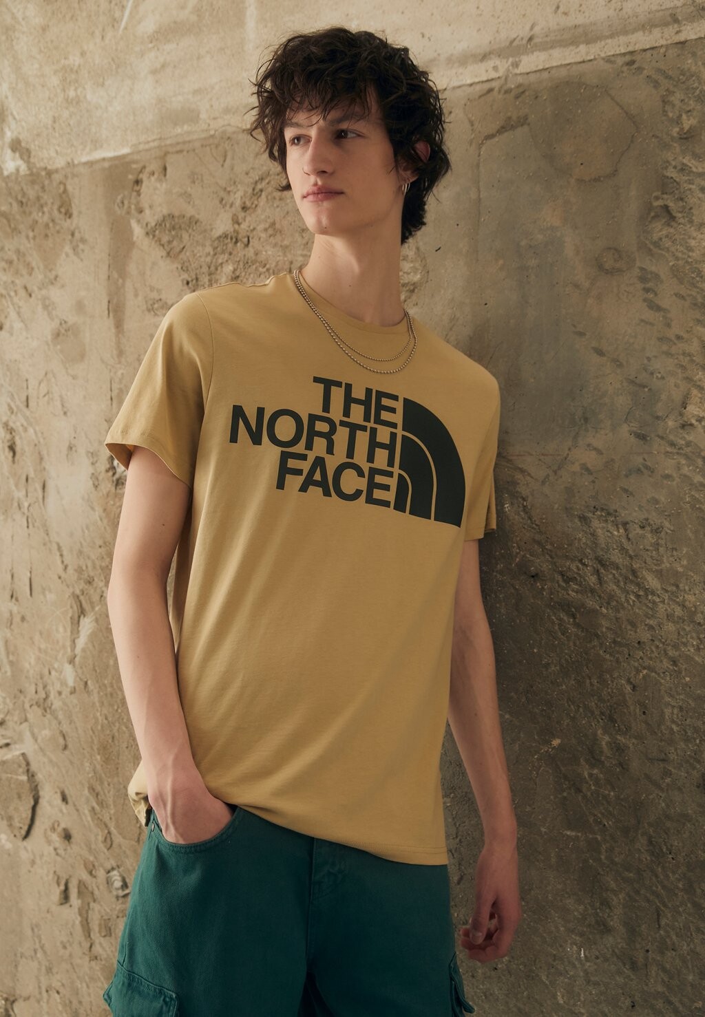 

Футболка с принтом STANDARD TEE The North Face, камень хаки