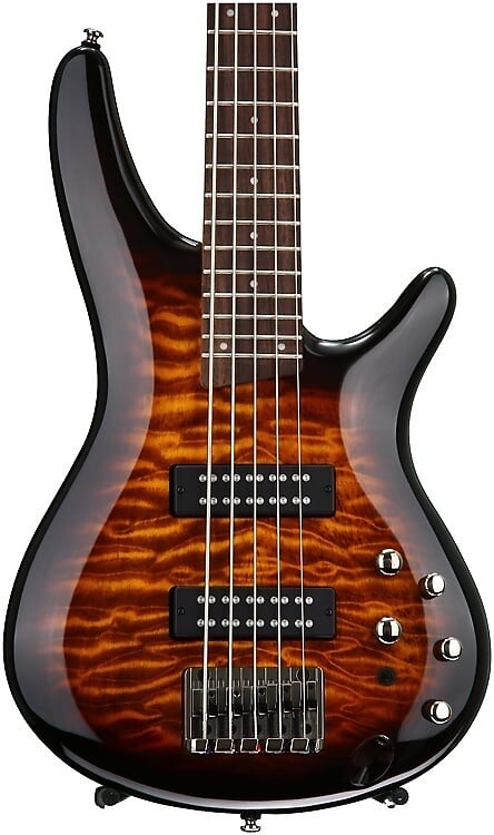 

Басс гитара Ibanez Standard SR405E 5-string Bass Guitar - Dragon Eye Burst