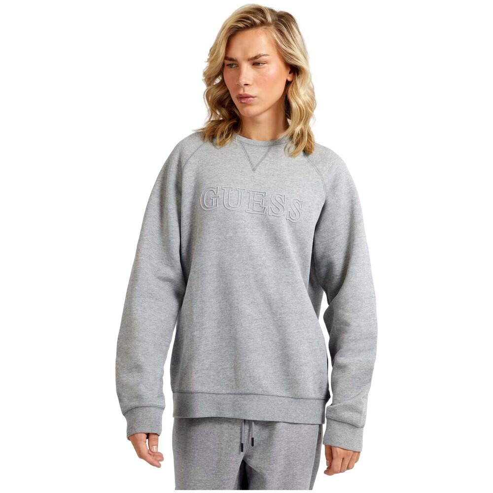 

Толстовка Guess Aldwin, серый