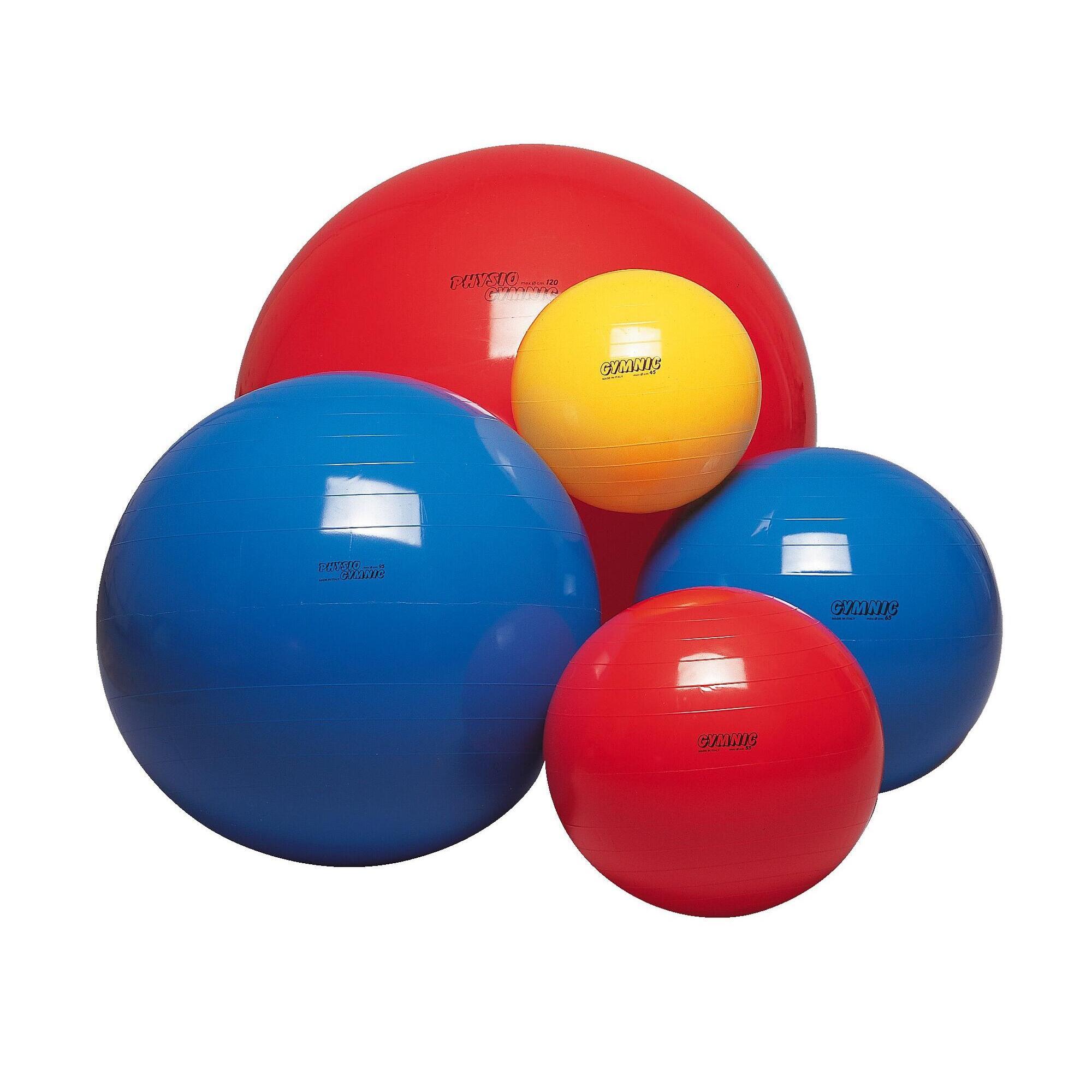 Balls now. Мяч гимнастический большой Physio Gymnic 120 см. Мяч Gymnic 95.45 (45 см). Мяч Gymnic Hop 80.40 (45 см). Мяч Gymnic Oppy 80.35 (50 см).