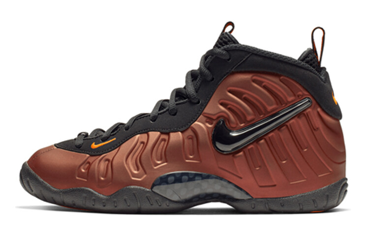 

Nike Foamposite Air Foamposite Pro Color Shift (GS) Темно-коричневый/Черный