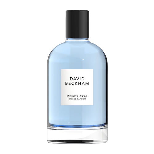 цена David Beckham Infinite Aqua Eau de Parfum Spray 100мл