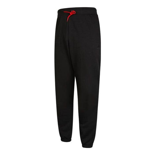 

Брюки Adidas Logo HH8948, черный