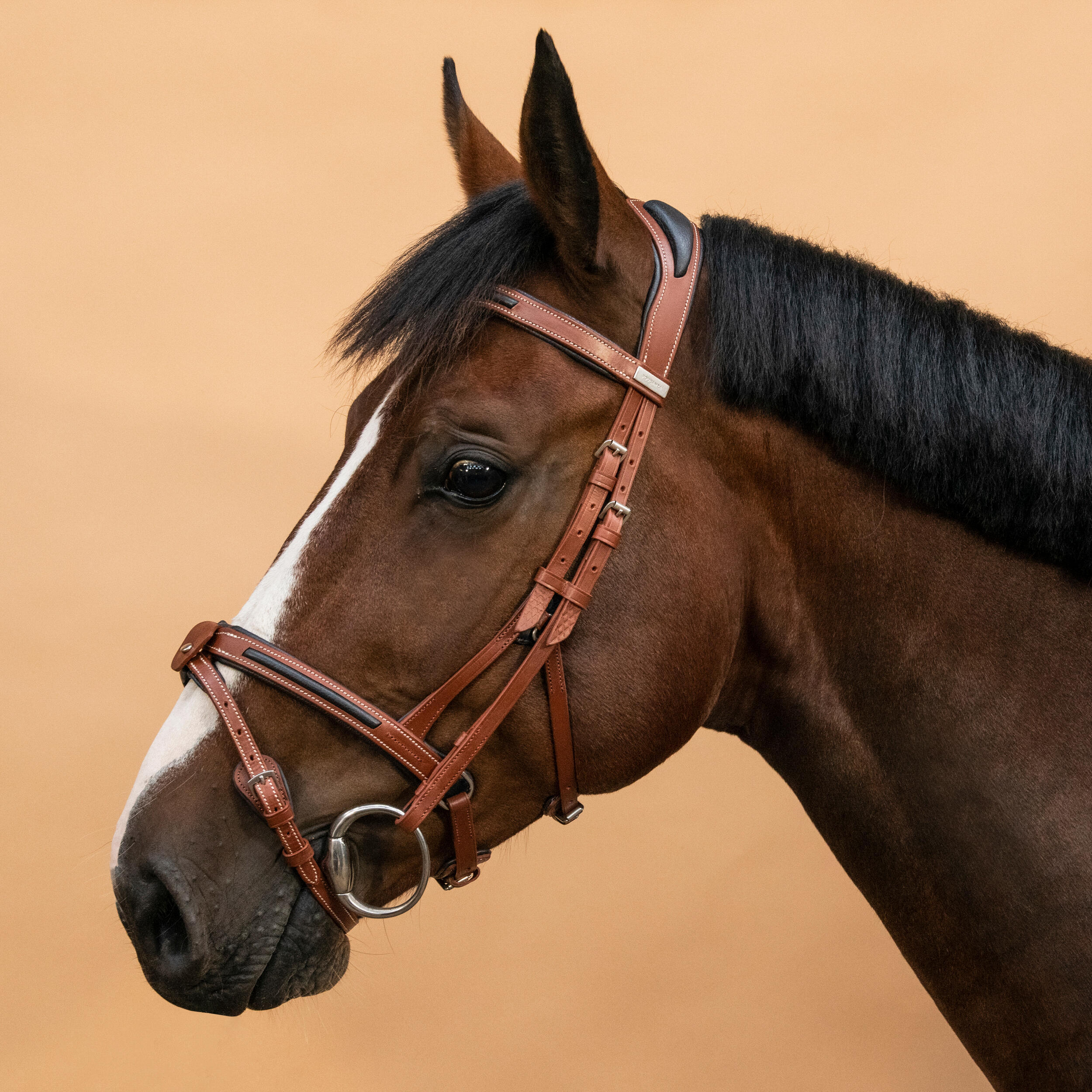 Уздечка Fouganza 900 для лошади и пони, коричневый / черный недоуздок fouganza для лошади и пони кожаный черный