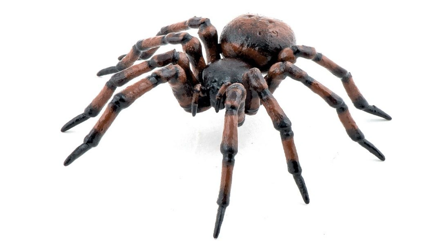 Обыкновенный паук Papo мордовник обыкновенный ритро