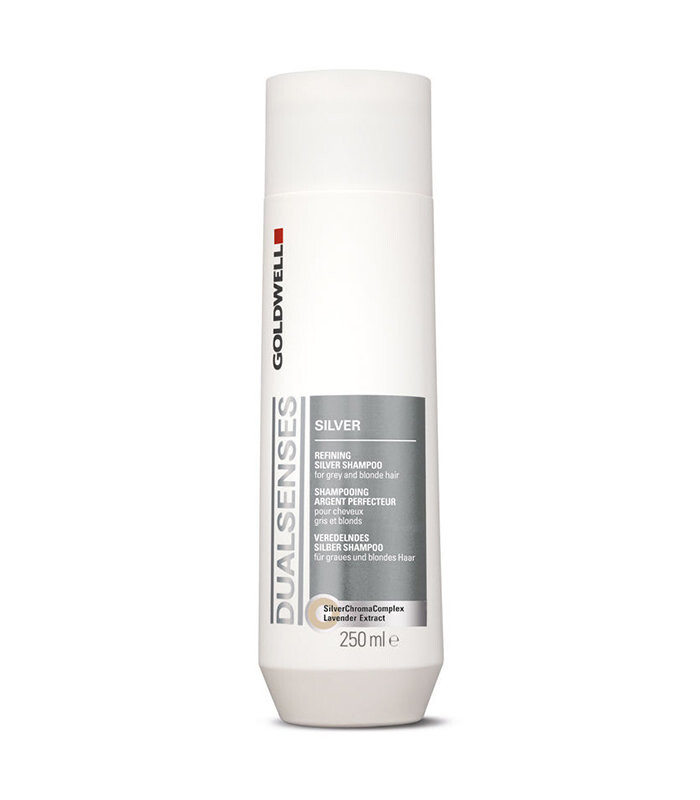 

Goldwell, Dualsenses Blondes & Highlights, шампунь для светлых и седых волос, 250 мл