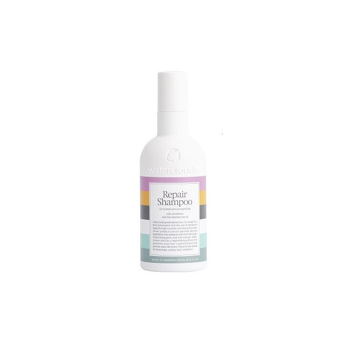 

Шампунь Champú Repair Shampoo Waterclouds, 250