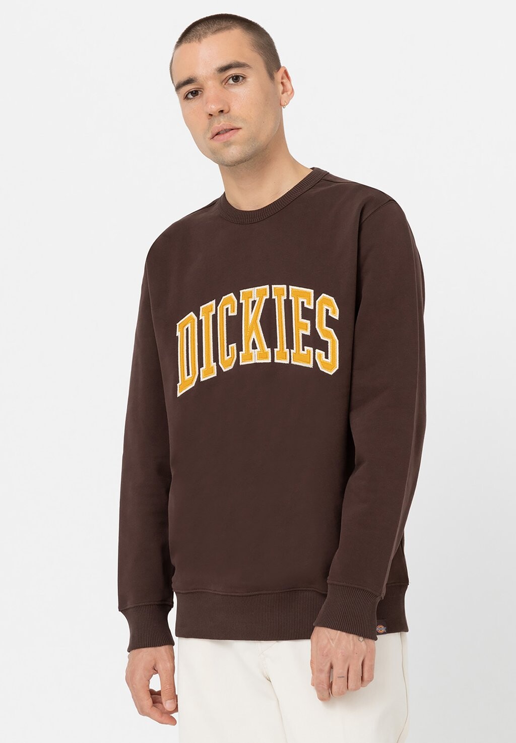 

Толстовка Dickies AITKIN LINCOLN, цвет java