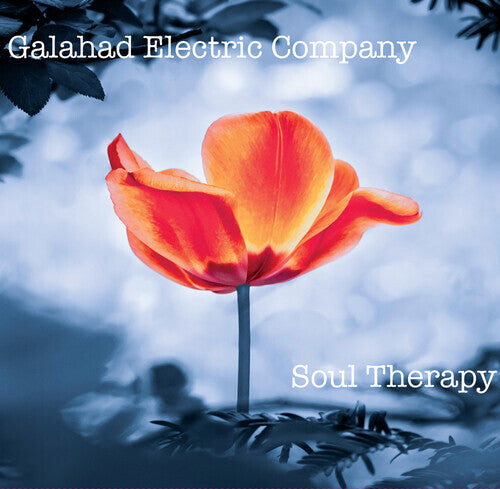 

CD диск Galahad Electric Company: Soul Therapy