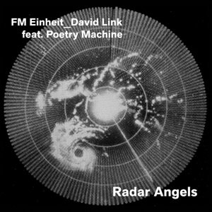 

Виниловая пластинка FM Einheit - Radal Angel