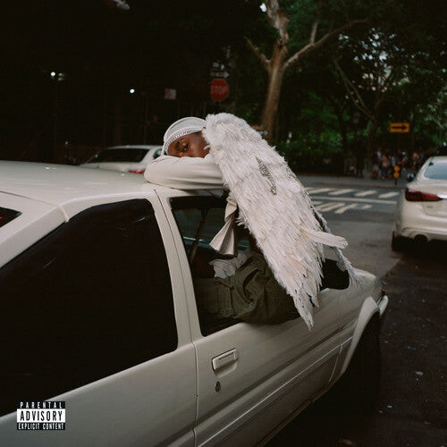 

CD диск Blood Orange: Negro Swan