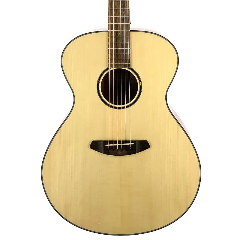 

Breedlove Eco Discovery S Concerto