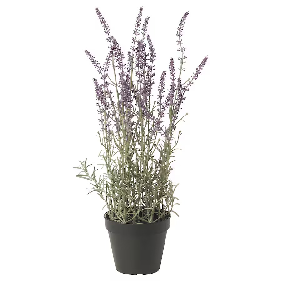 цена Искусственное растение Ikea Fejka Indoor Outdoor Lavender Lilac, 12 см