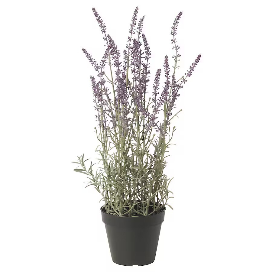 

Искусственное растение Ikea Fejka Indoor Outdoor Lavender Lilac, 12 см