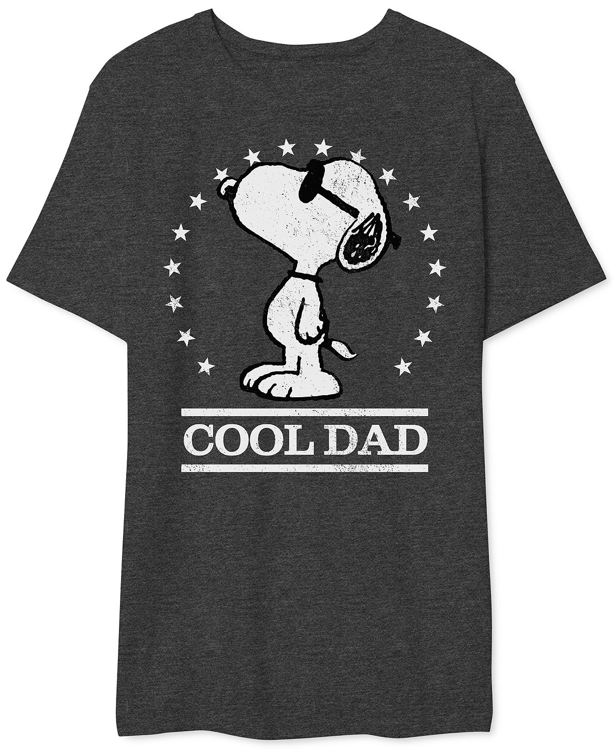цена Мужская футболка с рисунком snoopy cool dad AIRWAVES, мульти