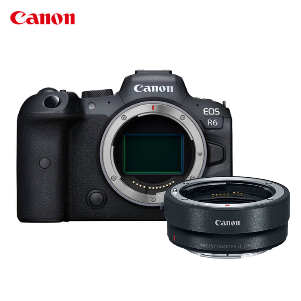 

Цифровой фотоаппарат Canon EOS R6 Single Body