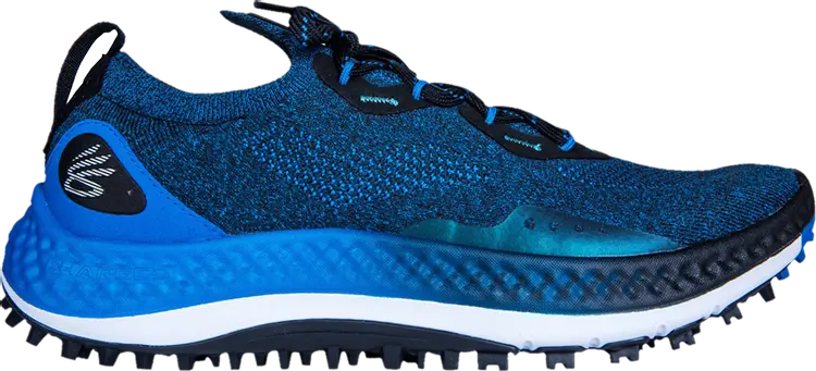 

Бутсы Under Armour Charged Curry SL Cruise Blue, синий