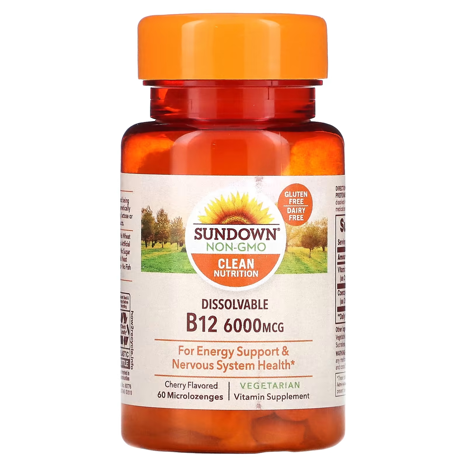 Sundown Naturals Витамин B12 для рассасывания ароматизатор «Вишня», 6000 мкг, 60 микропастилок sundown naturals dissovable b12 вишня 5000 мкг 90 микролозиц