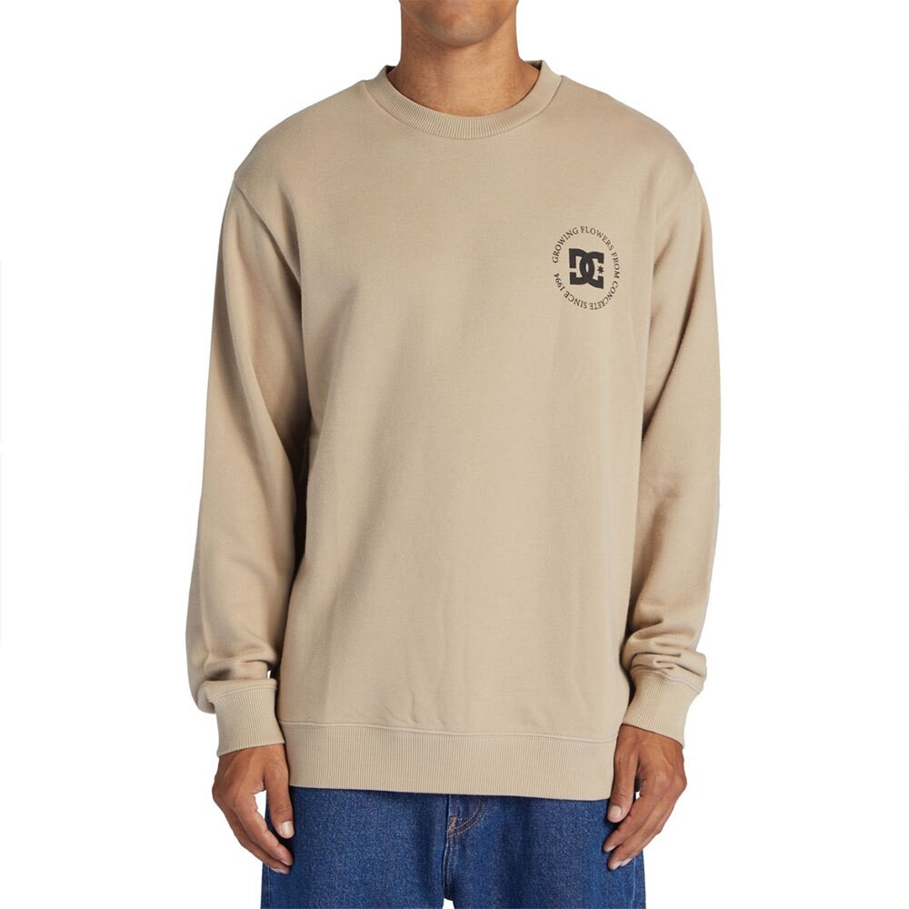 

Толстовка Dc Shoes Concrete, бежевый