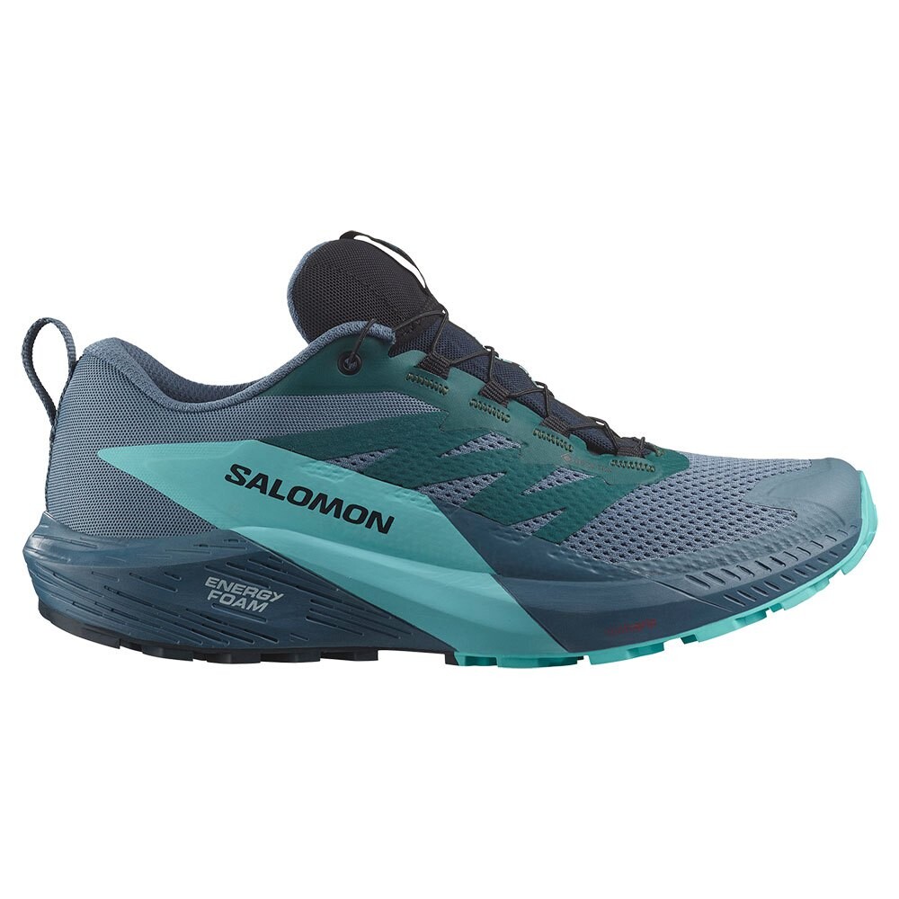 

Кроссовки для бега Salomon Sense Ride 5 Goretex Trail, синий