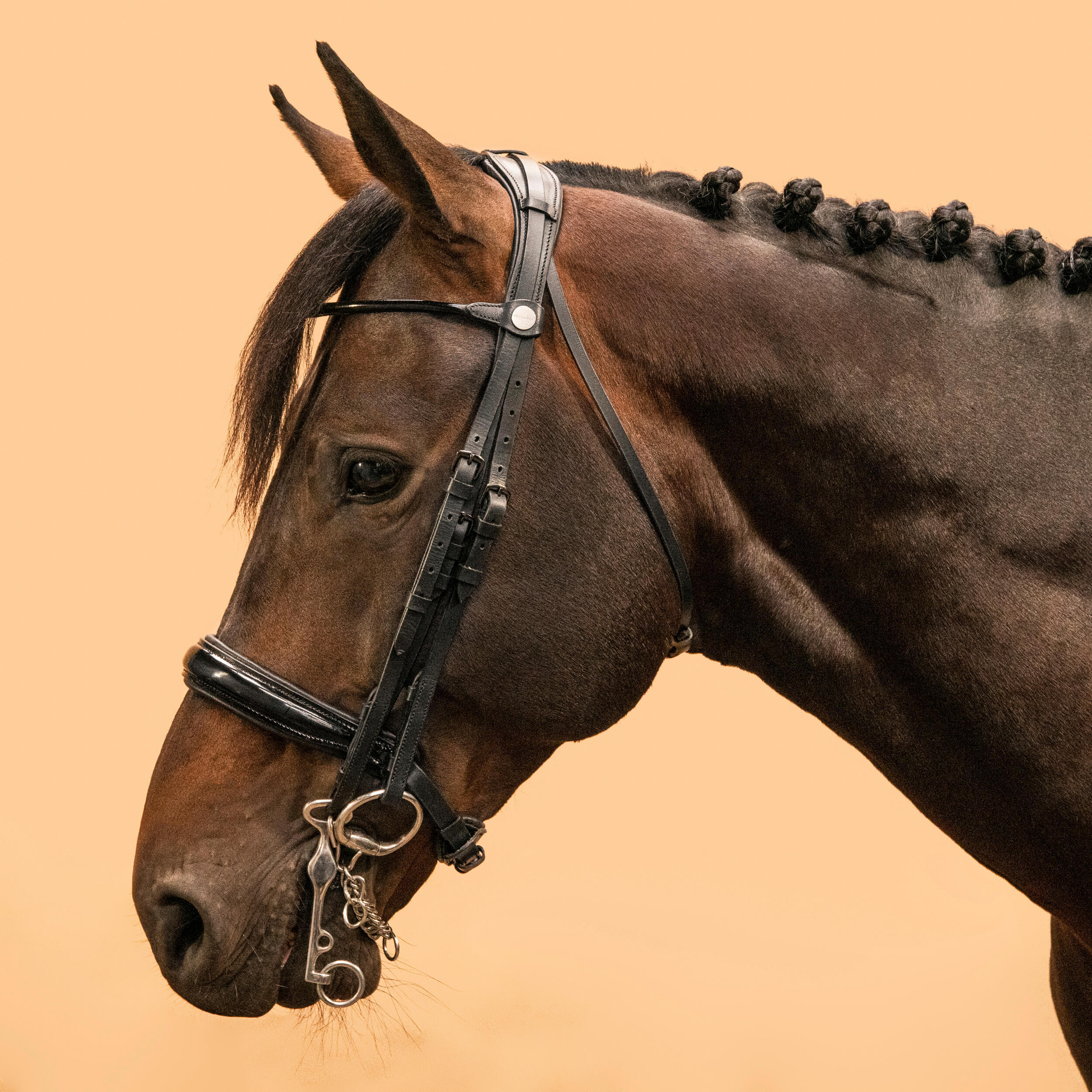 Оголовье мундштучное кожаное Fouganza для лошади с лаковым налобником, черный
