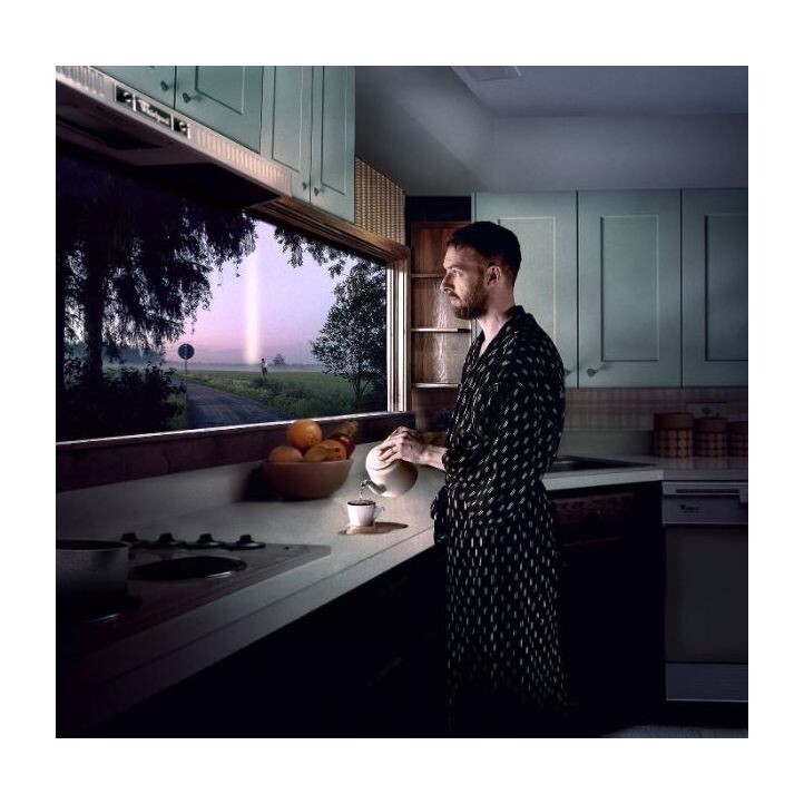

Виниловая пластинка Let's Just Say The World Ended | Honne