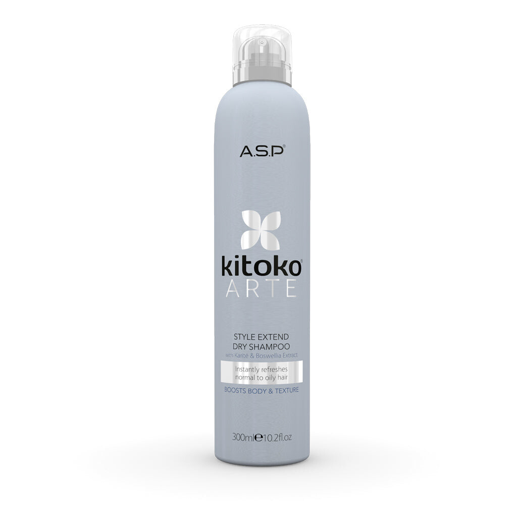

Affinage Шампунь для сухих волос Kitoko Arte Style Extend Dry Shampoo 300мл