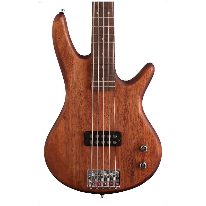 

Ibanez GSR105EXMOL 5-струнный натуральный электрический бас GIO