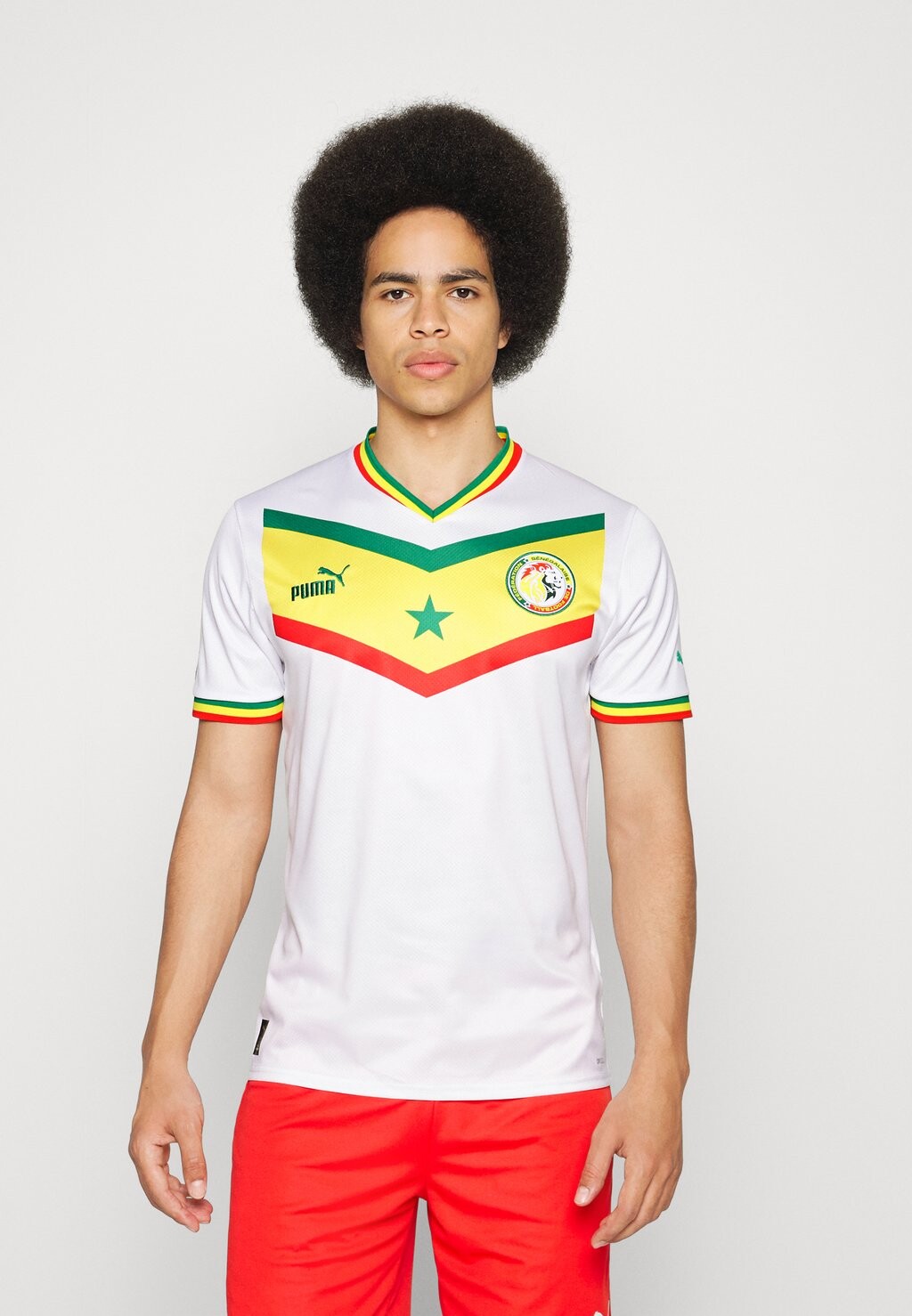 

Футболка Puma