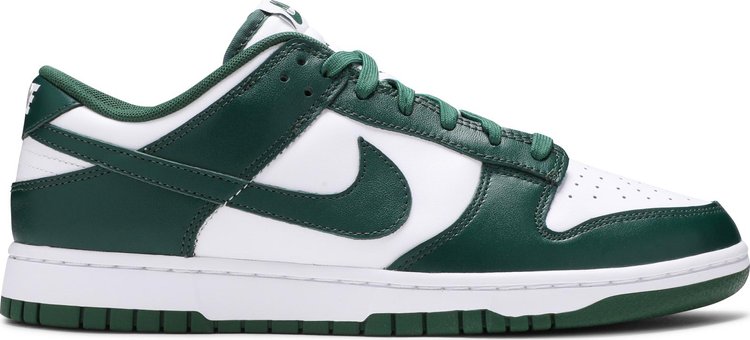 Nike on sale dunks michigan