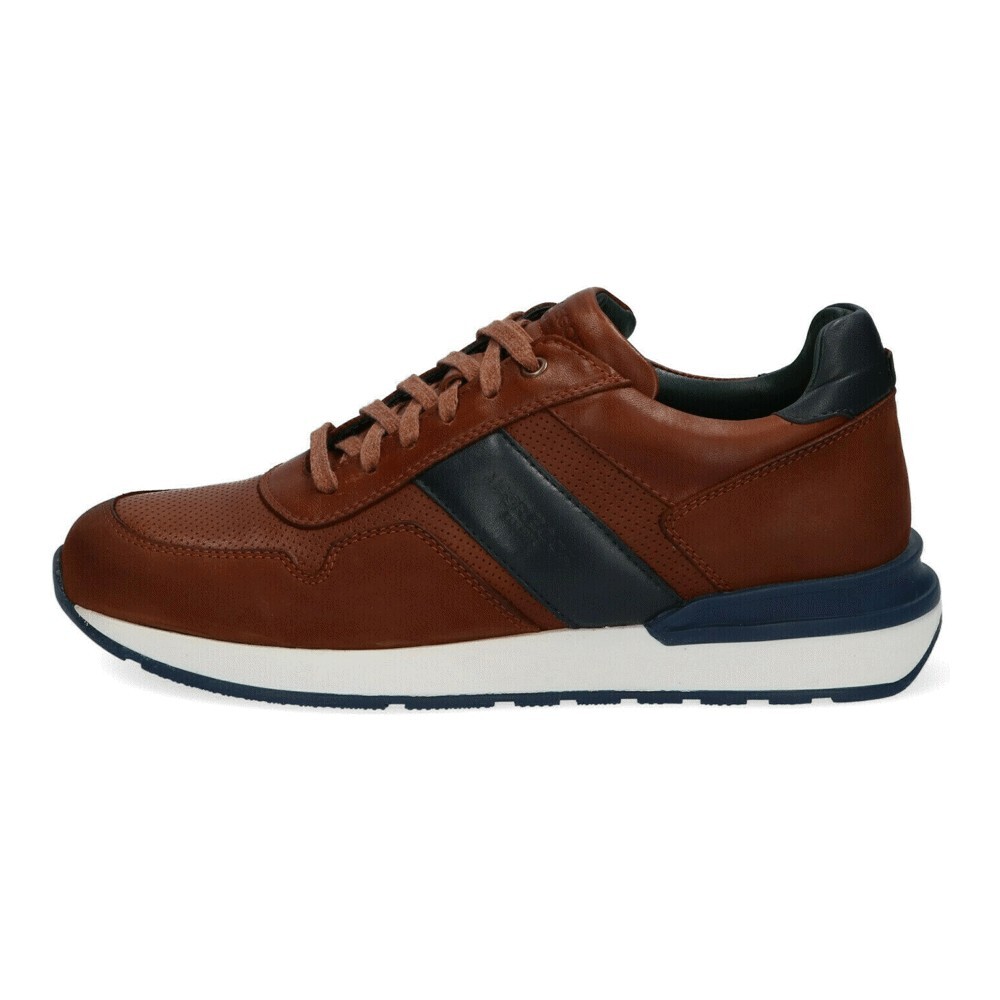 

Кроссовки Mcgregor Zapatillas, cognac