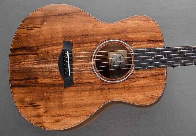 

GS Мини-э Коа Taylor GS Mini-e
