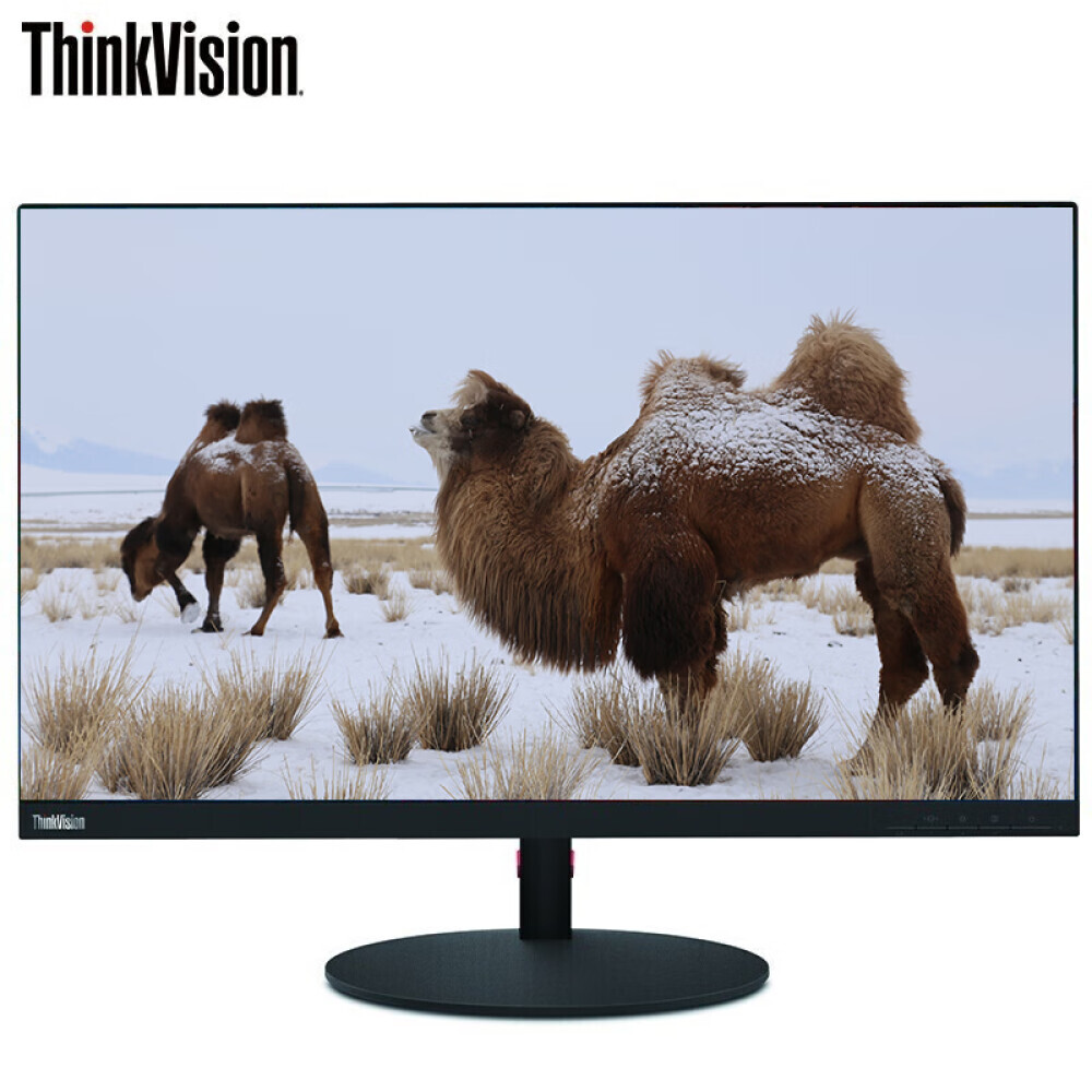 Монитор Lenovo ThinkVision T27p-10 27 IPS 4K c вращающимся основанием