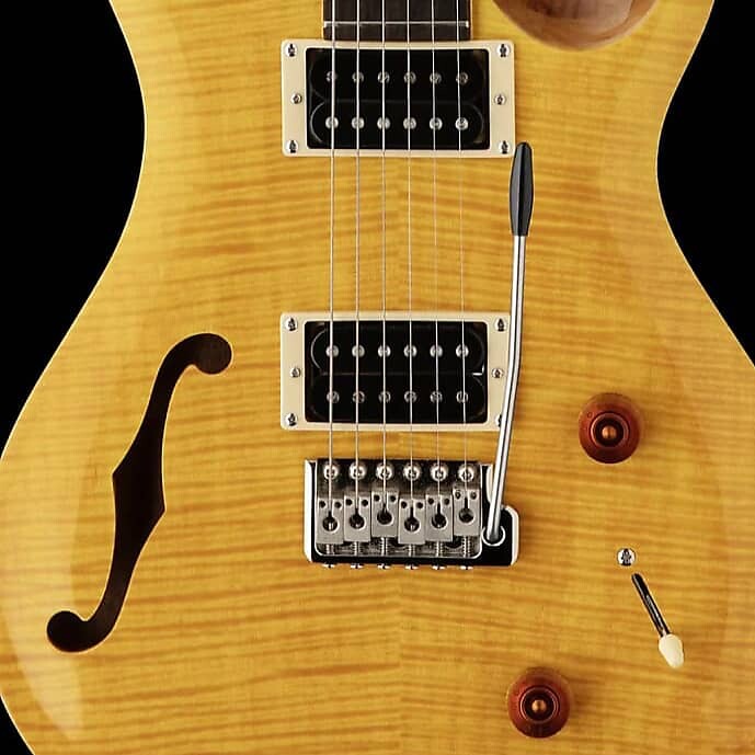 

PRS SE Custom 22 полупустой SE Custom 22 Semi-Hollow