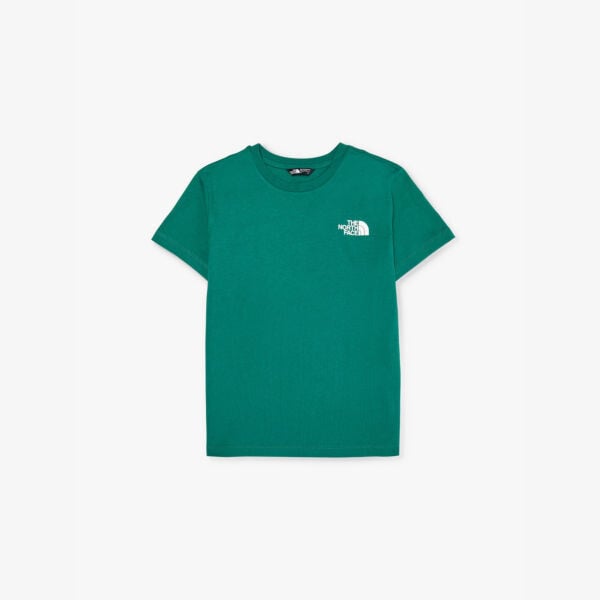 

Футболка из хлопкового джерси с фирменным принтом Redbox The North Face, зеленый
