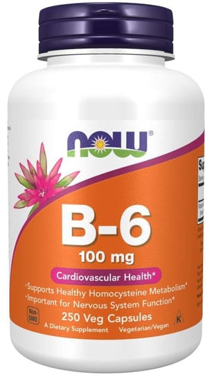 Now Foods, Витамин B6 100 мг - 250 капсул