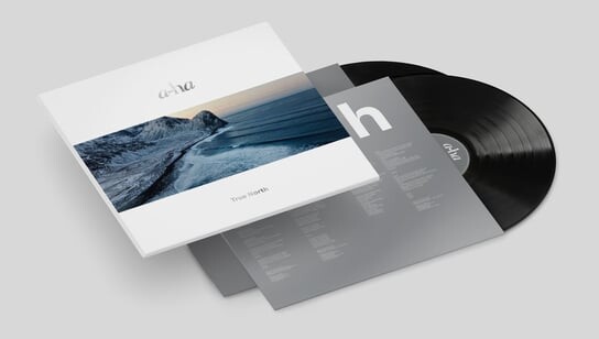 

Виниловая пластинка A-ha - True North