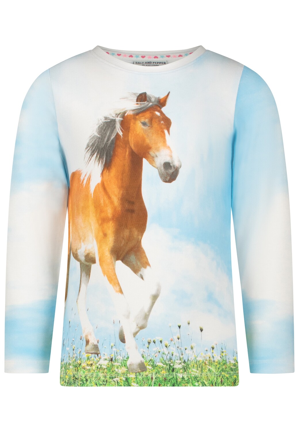 

Лонгслив Salt and Pepper Langarmshirt Spring Bloom, цвет pastel blue