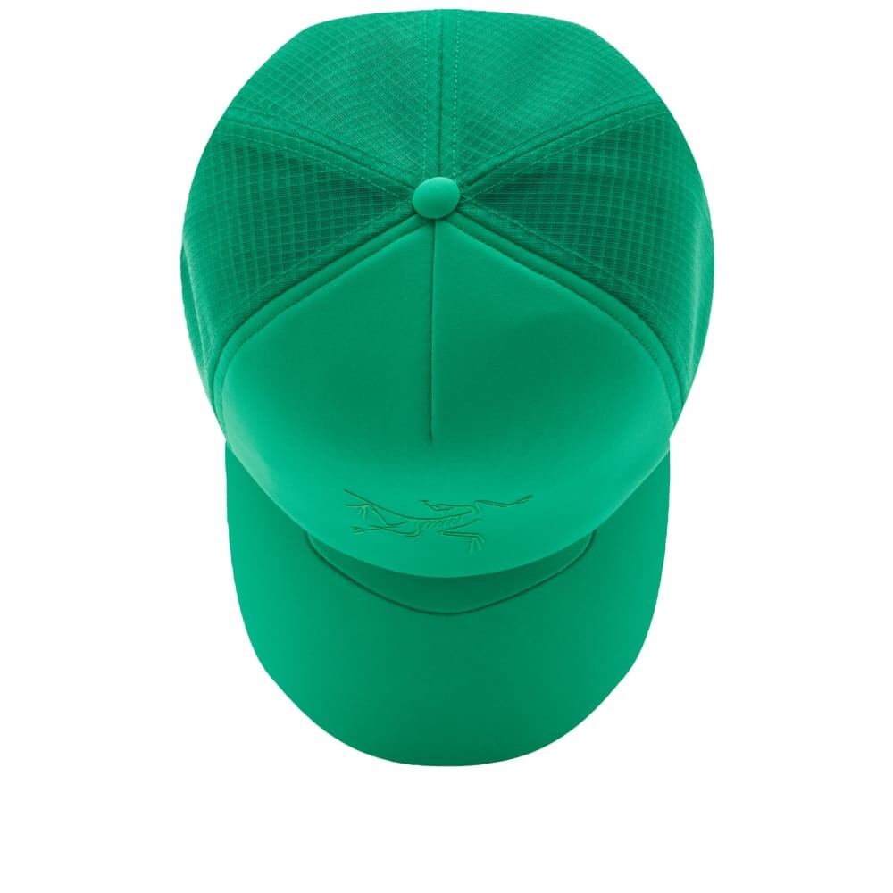 

Кепка Arcteryx Bird Trucker